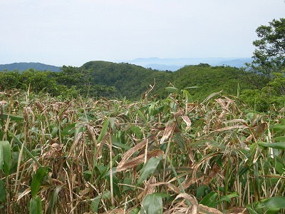 あそこまで行けるかな~(@_@;)