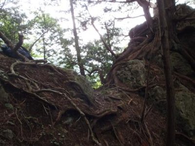 P6300026.JPG (46.4 KiB) 閲覧された回数 3773 回 にせ小峠