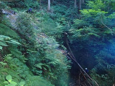 P8260288_640.jpg (75.73 KiB) 閲覧された回数 3704 回 お荷物がいる我がパーティにとっては、突破できるはずもない大滝だ。左を高巻いて先頭に出る。