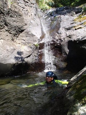 『泳ぎを楽しんでいた』という事になっていたが、これは必死の表情だよね～。<br />本当の沢好きは、上からウォータースライダーよろしく尻で滑り落ちて来るって・・・ホンマかいな？