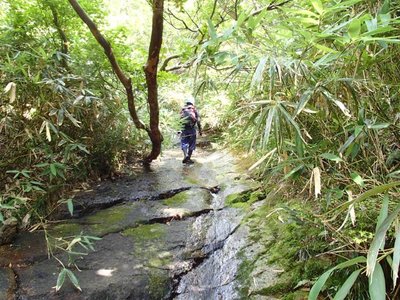 P8260333_640.jpg (103.49 KiB) 閲覧された回数 3704 回 ナメを歩く敏さん。