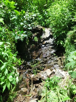 CIMG0037.JPG (532.04 KiB) 閲覧された回数 10364 回 剣心、不覚・・・。深く反省のポイント。