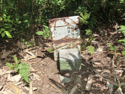 都庁じゃなくて登頂の証