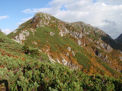 北沢尾根(2700mあたり)から南駒