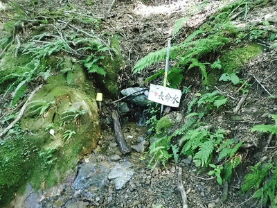 長命水.JPG (289.54 KiB) 閲覧された回数 9817 回 ● 長命水落葉がたまってるね。