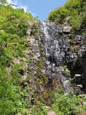 最後の8m滝。右からササヤブへ突入！