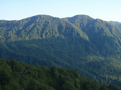 西日を受ける願教寺山(右）