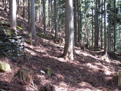 筒井八幡跡の台座と庚申跡の台座