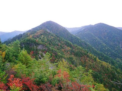 樺山