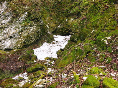 〇 タヌ洞雪渓、入れるか心配