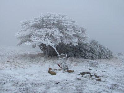 寒風吹きまくるイブネ山頂