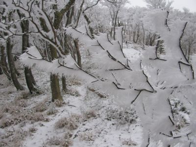 杉峠の頭の霧氷