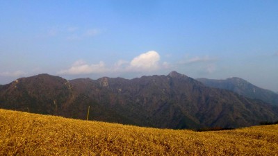 P1010852.JPG (140.43 KiB) 閲覧された回数 8423 回 お気に入りのポイントから鎌ヶ岳&御在所岳を眺望