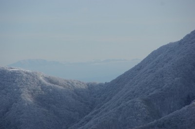 杉峠の上に見えるのは塩見岳？