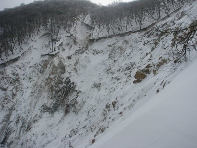 木々を呑み込んで成長するガラン谷の崩壊地