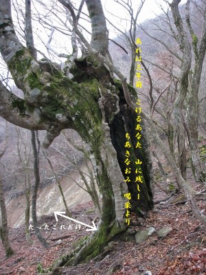 ryujin.JPG (278.89 KiB) 閲覧された回数 9627 回 三年一カ月前の写真