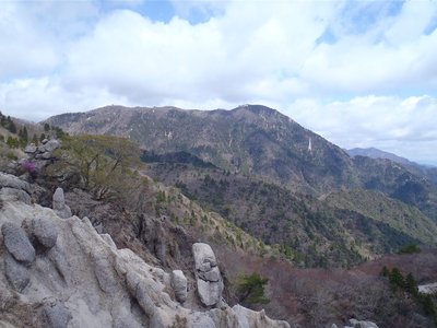 馬の背のアカヤシオ、遅れています。