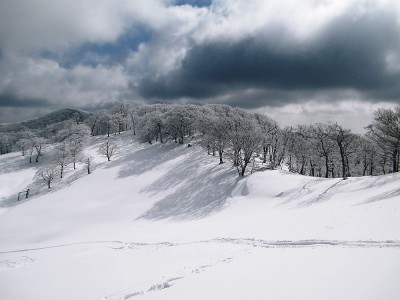●新雪雪の肌を滑ろうだね