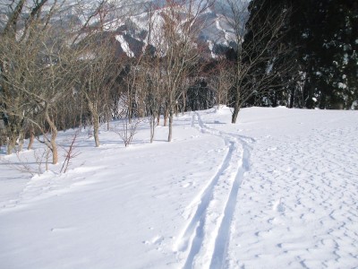 ●白鳥高原、色んな斜度で試してみました。