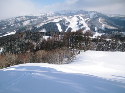 ●イトシロを基点とする緩やかな尾根は滑れそうだ