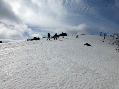 P1000447.JPG (163.31 KiB) 閲覧された回数 9968 回 イハイガ岳から綿向山への雪の稜線を行く