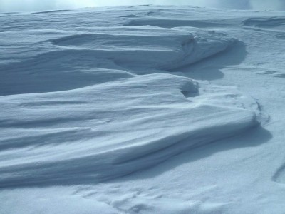 御池岳でみたシュカブラのようなもの？