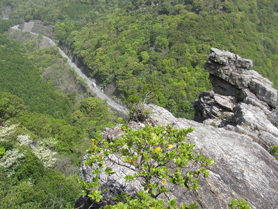 怖くて行けない！