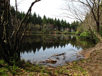 水舟の池