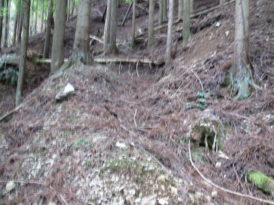 拝坂のつづら折れの道