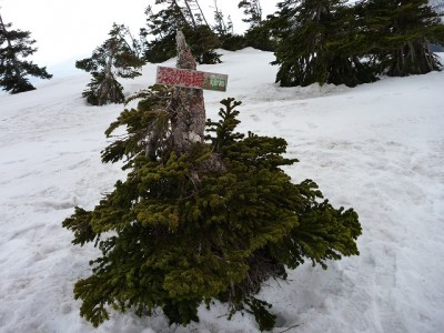 s-P1010312.jpg (130.43 KiB) 閲覧された回数 7999 回 お猿さん