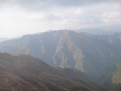 P1020949.jpg (37.57 KiB) 閲覧された回数 8149 回 大杉国見山