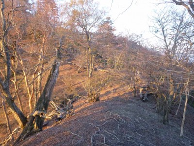 朝日のあたる縦走路