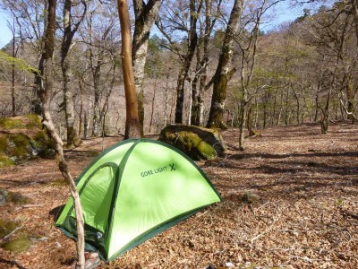 ブナ林とmy tent