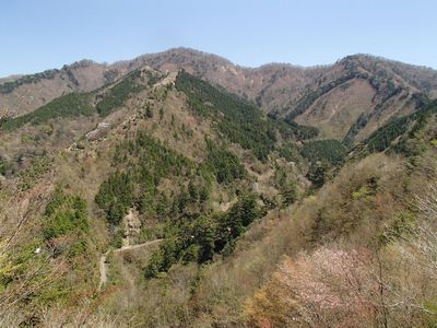 父ヶ谷林道からうぐい谷高を望む