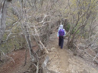 鼻血ヤローの後ろ姿
