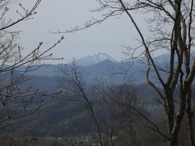 樹々の間から恵庭岳の岩峰を望む