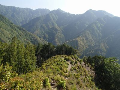 伐採地から古ヶ丸山方面を望む
