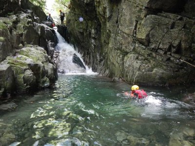 初めて泳いでいます