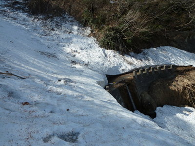 林道歩きも楽し1