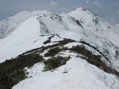 とっちゃんには懐かしい金山が大きかった、手前は影火打と焼山だよ。