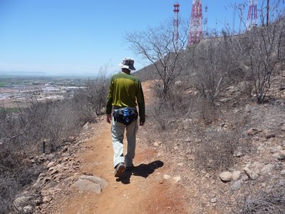 道はこんな感じ