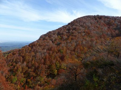 前山付近の紅葉