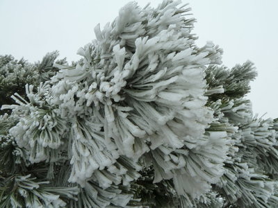 こんなんもありました