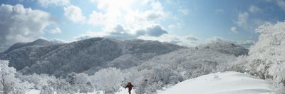 パノラマ 4_1_1.JPG