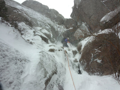 リードするりゅうさん