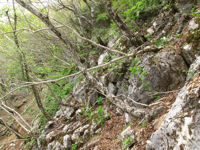 羽瀬尾の岩グラ