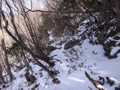 西斜面の巻き道.JPG (176.01 KiB) 閲覧された回数 4367 回 西斜面の巻き道