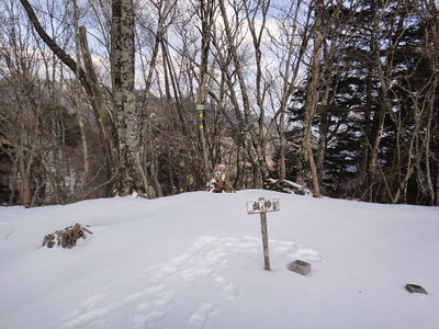 山日和さんとひいちゃんと共に行ったことがある山ノ神ノ頭の今日