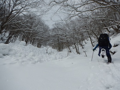 意外な規模のデブリ