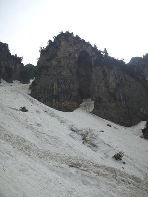 今年の女神さま
